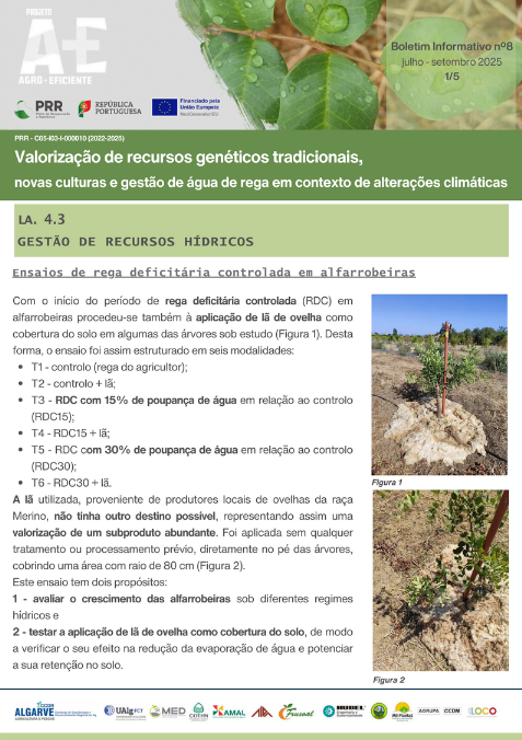 n.º 8 - jul/set 2025 Image