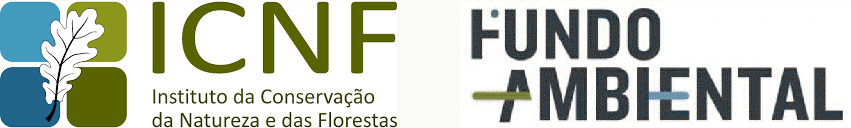 Logo 2ICNF